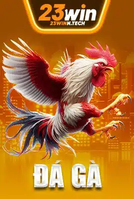 Đá gà 23Win - Cá cược đá gà trực tuyến hấp dẫn