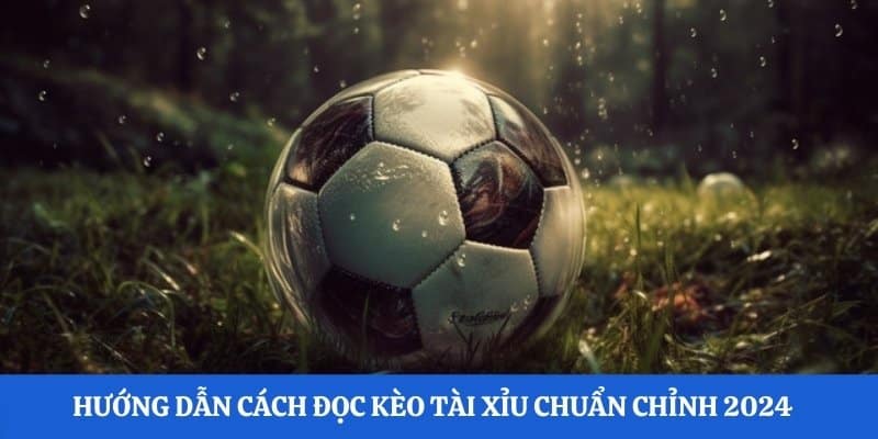 Kèo Tài Xỉu tại 23Win - Trò chơi cá cược thể thao hấp dẫn